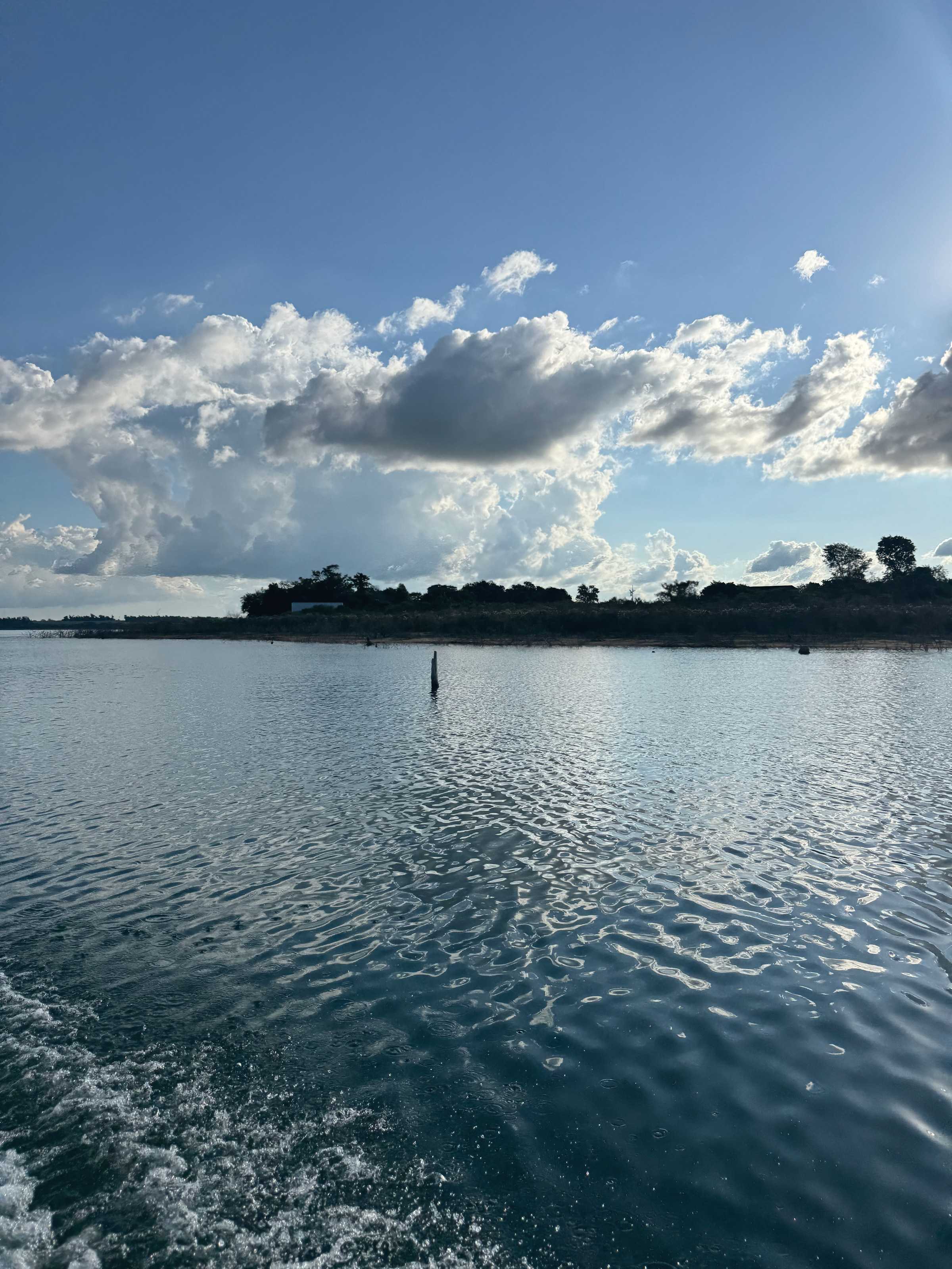 The lake from a boat: rippled water, large cumulus clouds and a tree-lined shore in the distance.